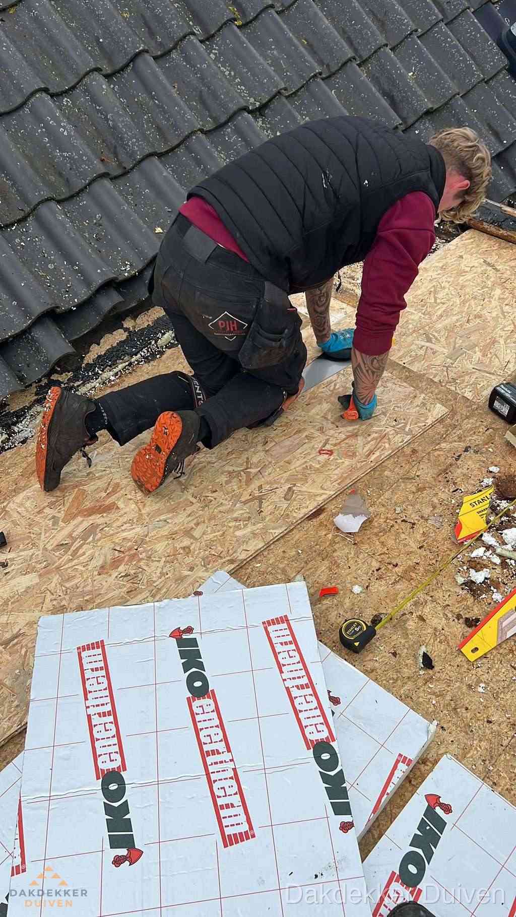Dak Isoleren Duiven