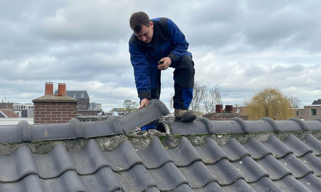 Dakdekker Inschakelen Stormschade Duiven