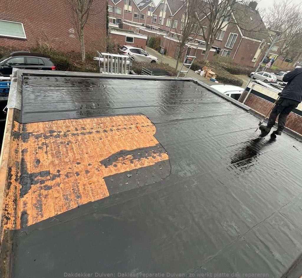 Dakleer Reparatie Duiven