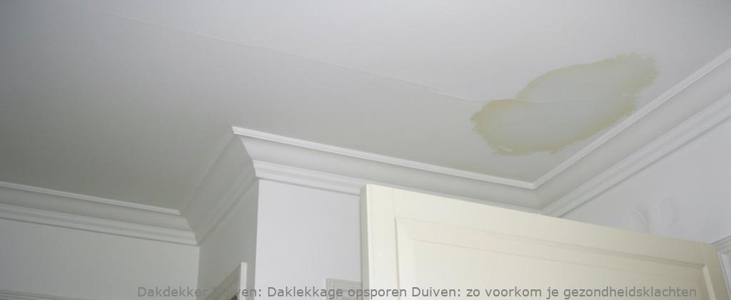 Daklekkage Opsporen Duiven 1