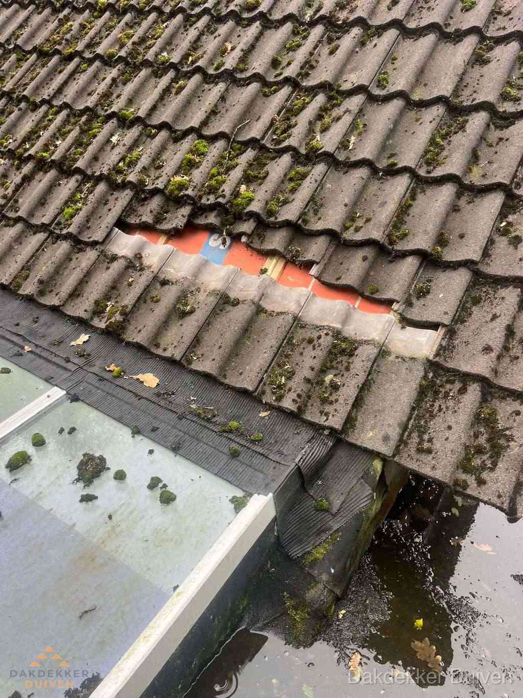 Dakpannen Repareren Duiven