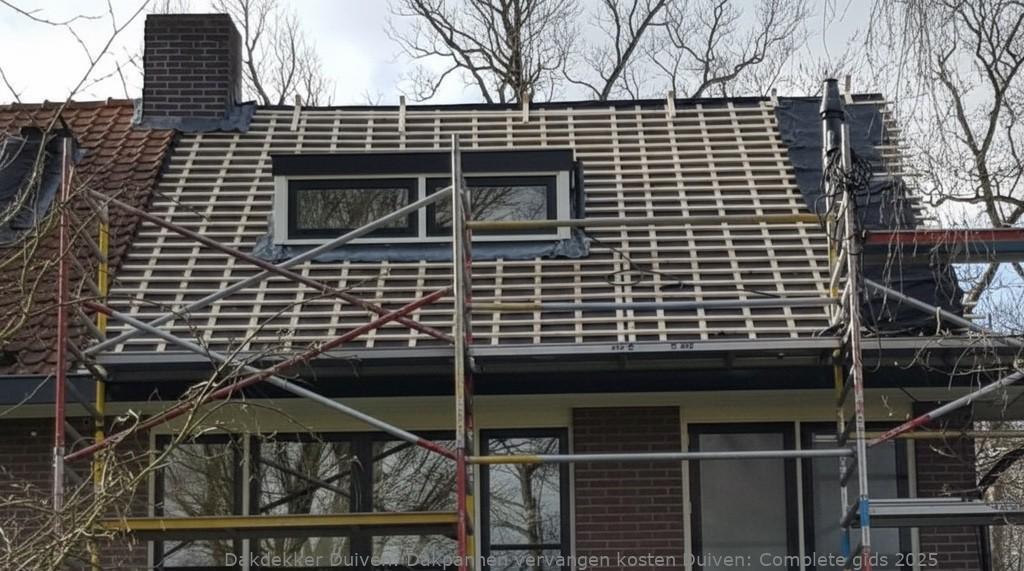 Dakpannen Vervangen Kosten Duiven