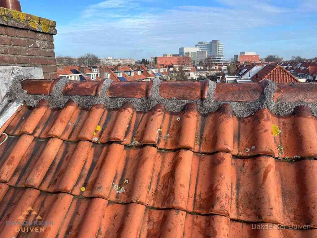 Duiven Daken Renoveren