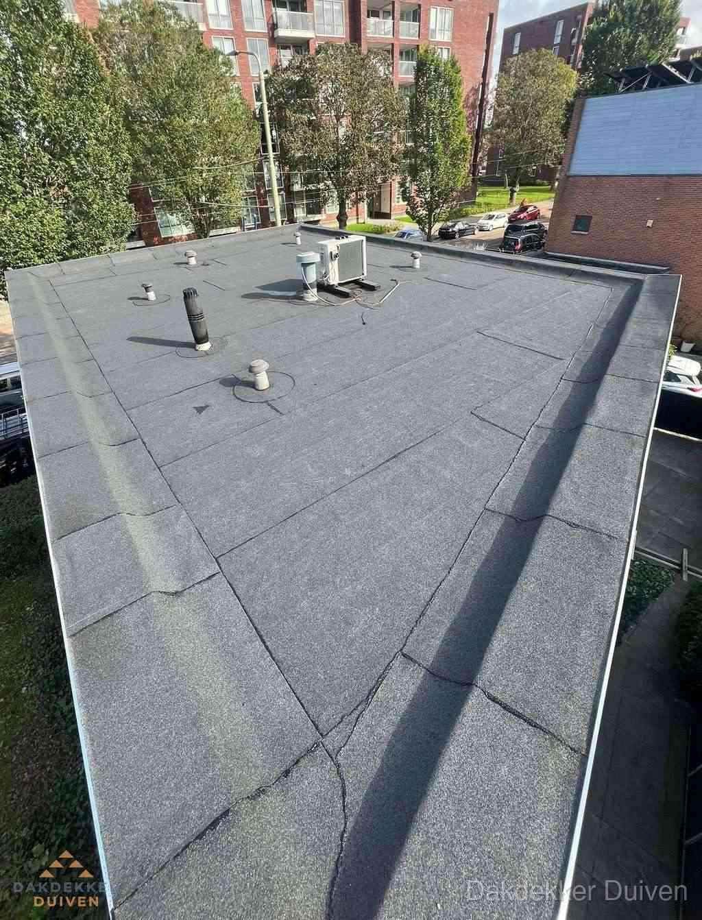 Duiven Plat Dak Repareren