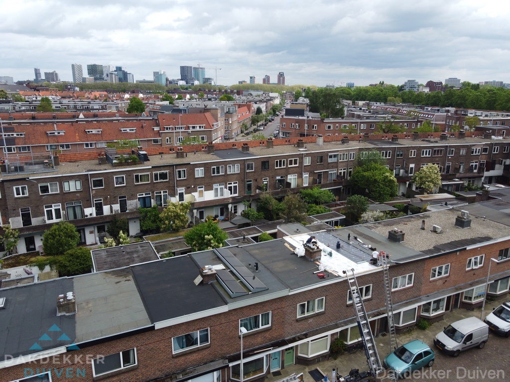 Duiven Spoed Dakdekker