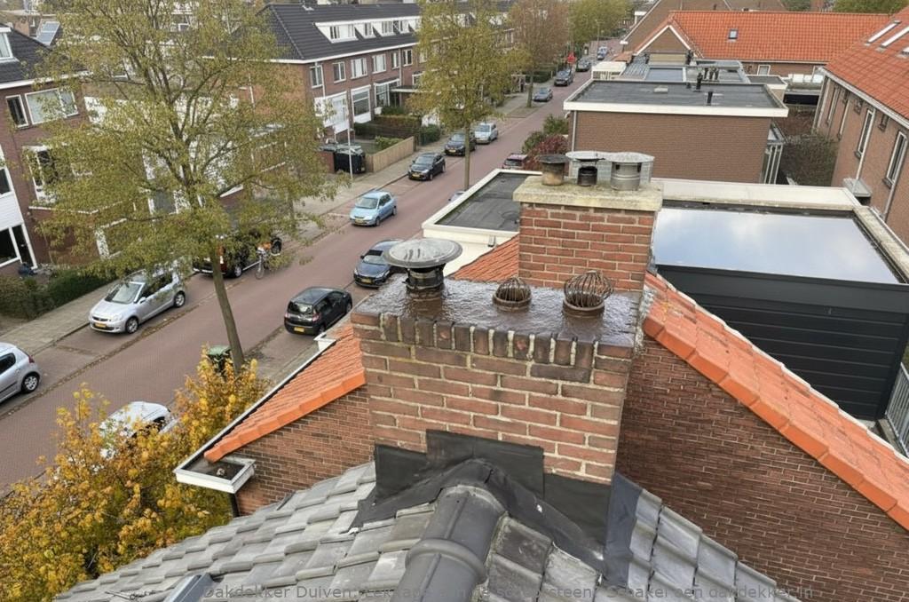 Lekkage Aan De Schoorsteen Duiven