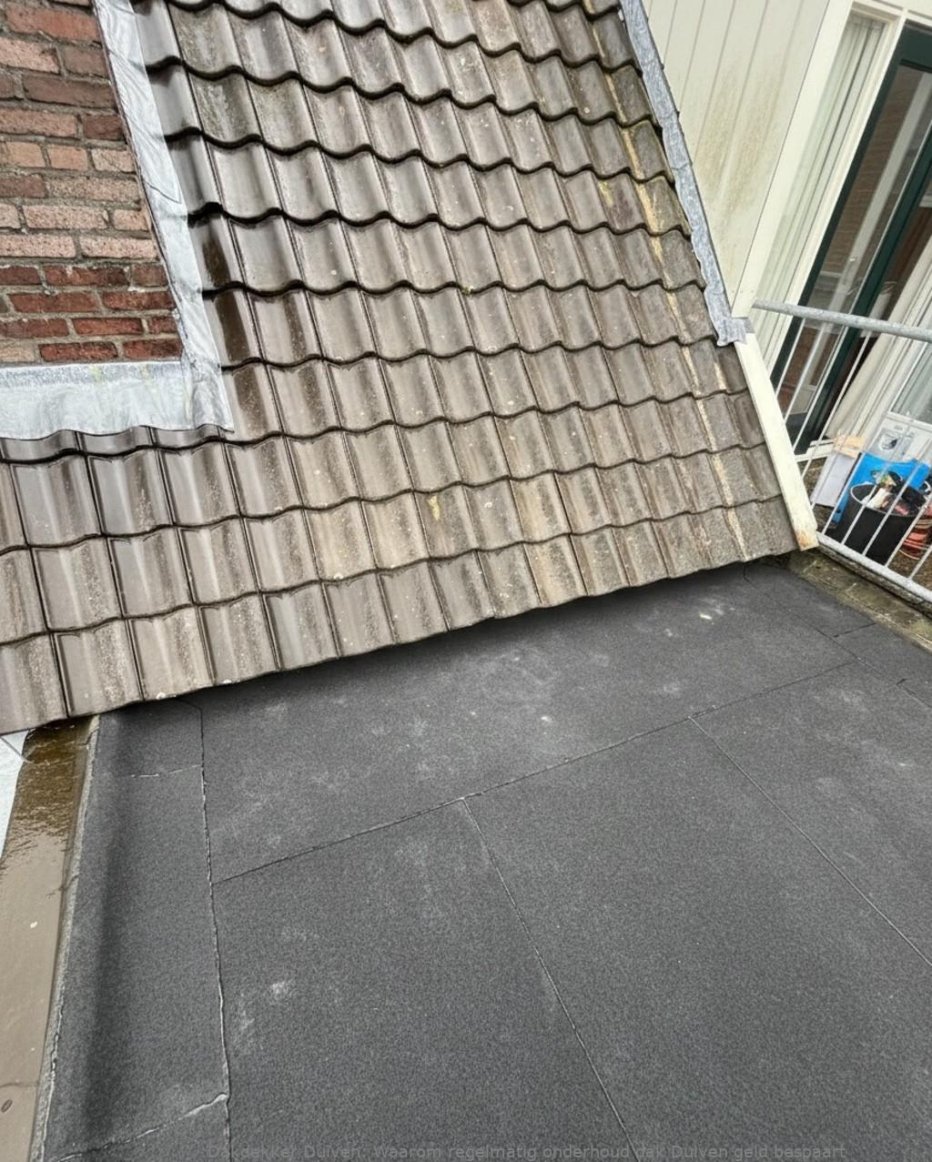 Onderhoud Dak Duiven