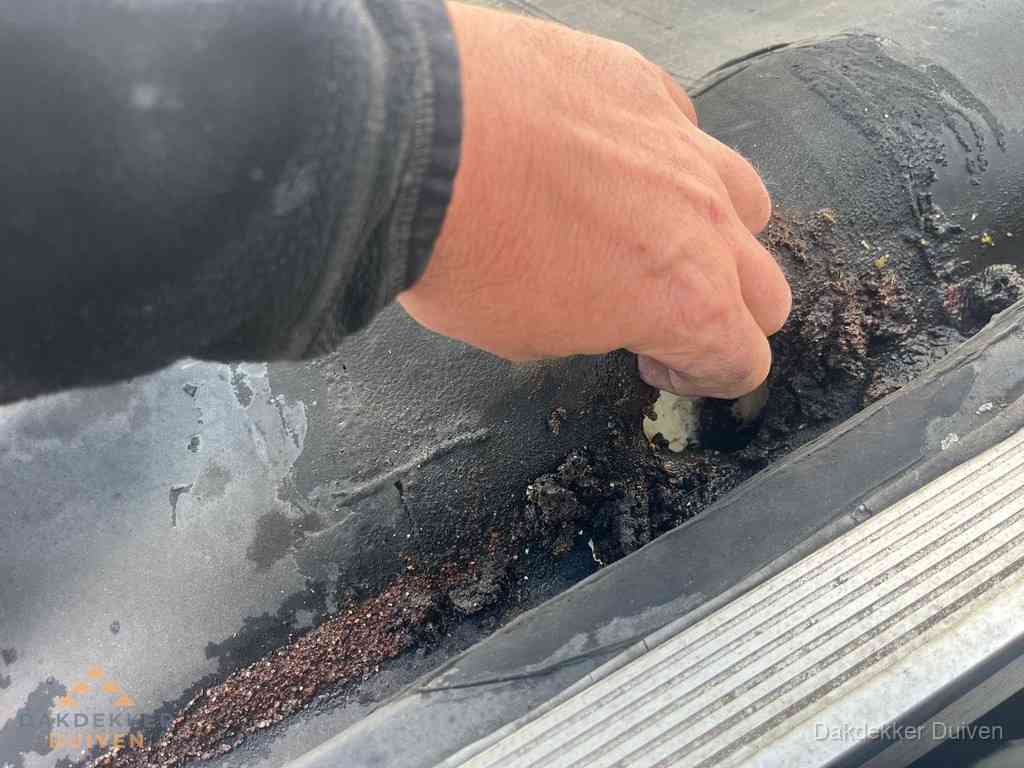 Plat Dak Reparatie Duiven