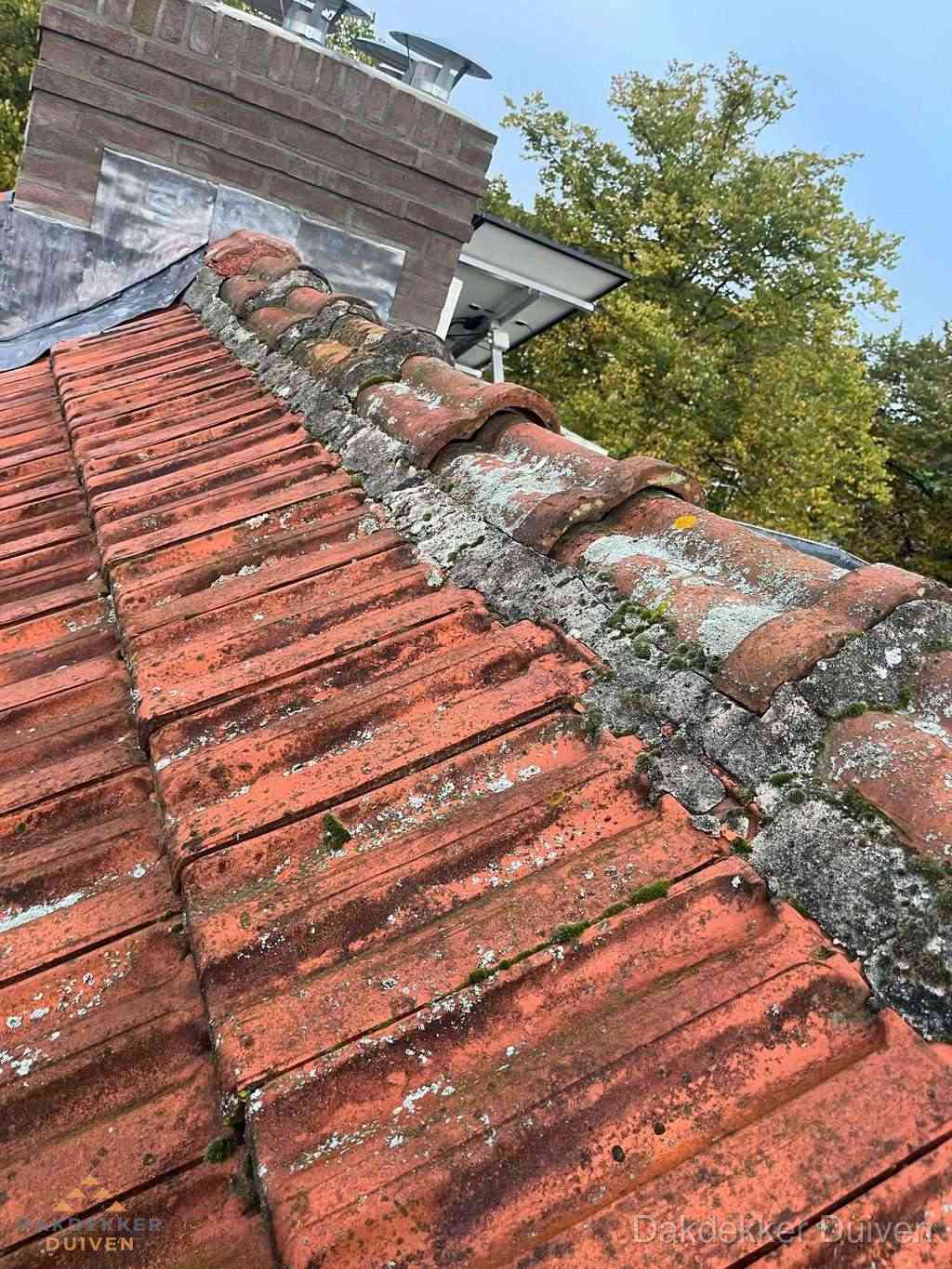 Renovatie Hellend Dak Duiven