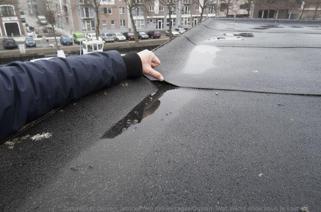 Voorkomen Daklekkages Duiven