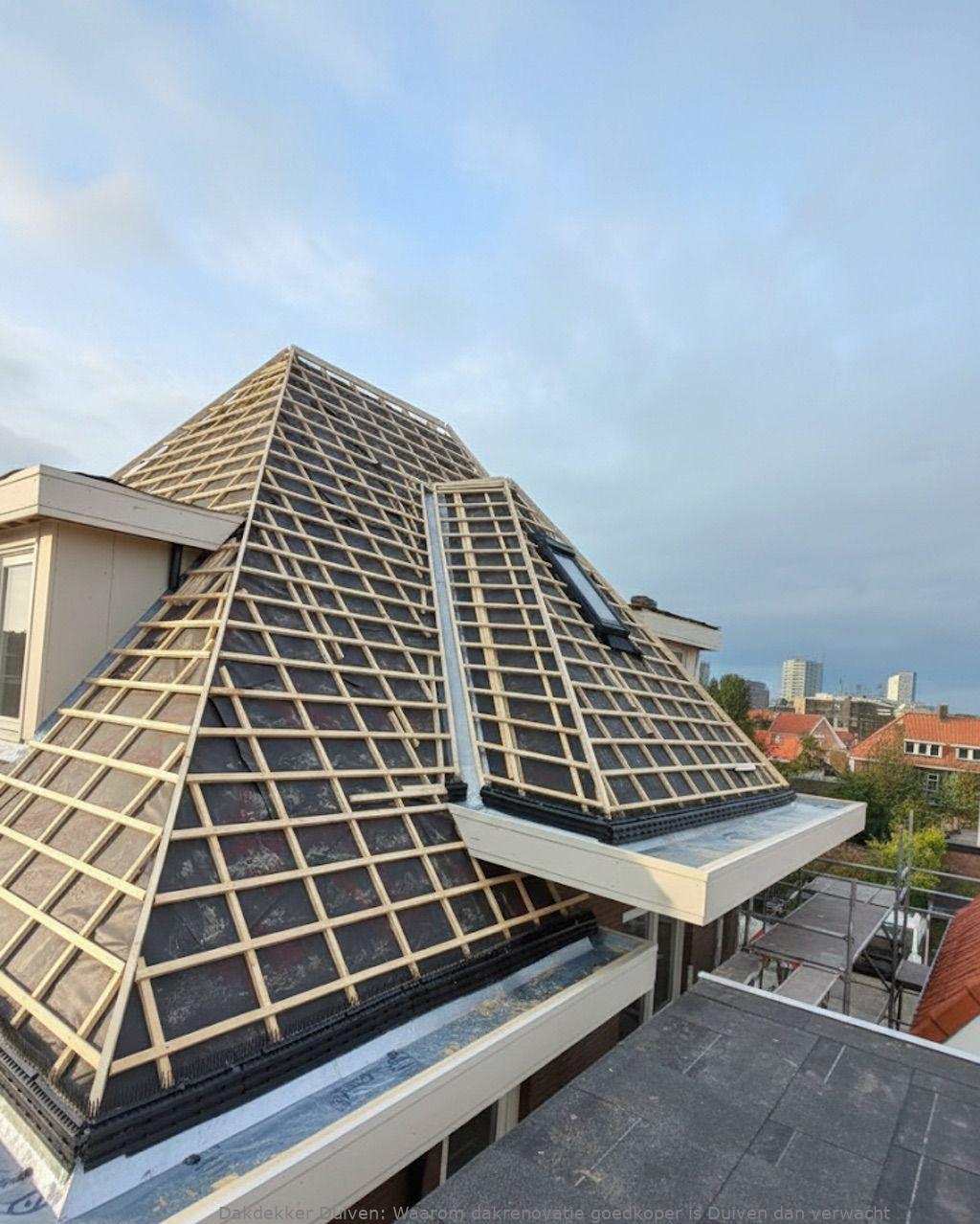 Waarom Dakrenovatie Goedkoper Is Duiven